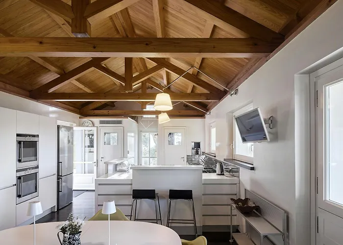 With Olive Grove In Abruzzo