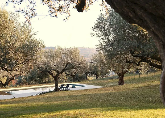 بيت للعطل With Olive Grove In Abruzzo
