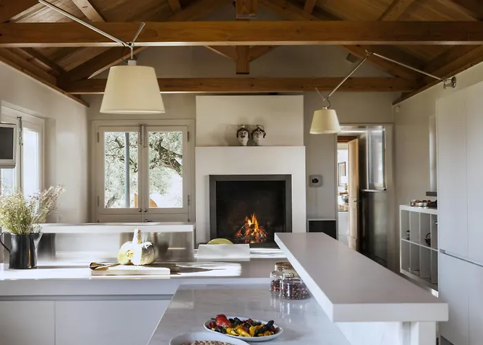 With Olive Grove In Abruzzo