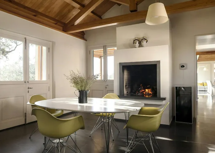 With Olive Grove In Abruzzo *