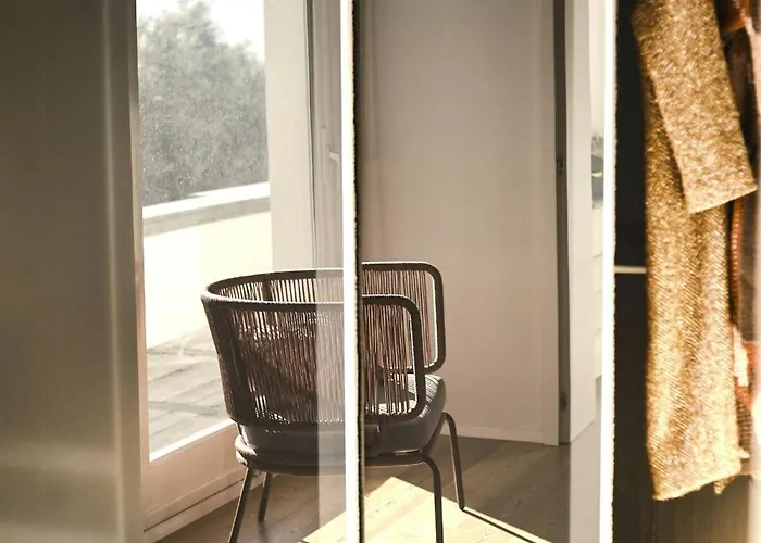 With Olive Grove In Abruzzo