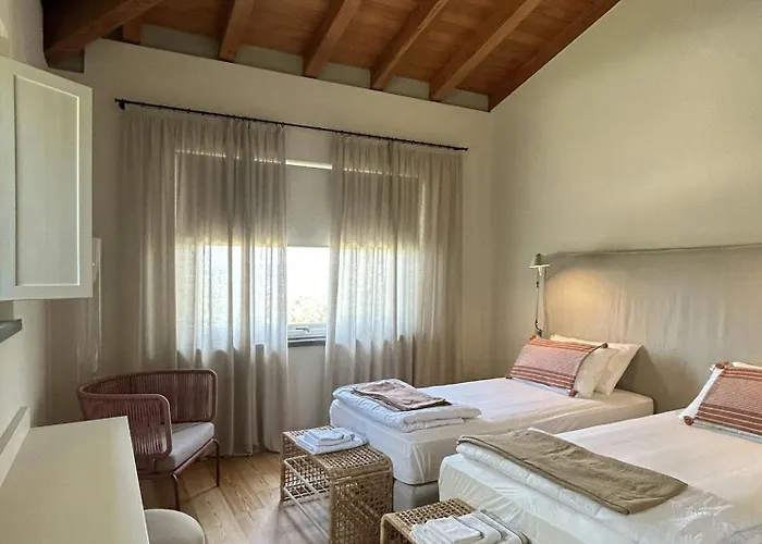 بيت للعطل With Olive Grove In Abruzzo Spoltore