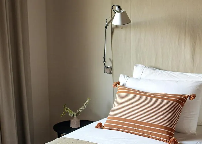 With Olive Grove In Abruzzo