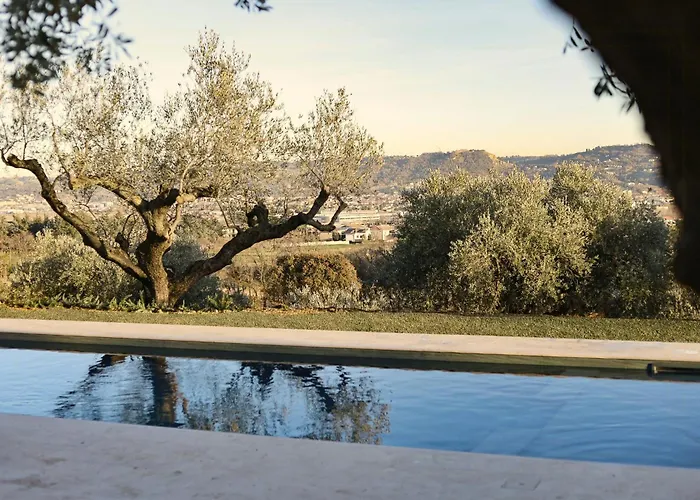 With Olive Grove In Abruzzo بيت للعطل *