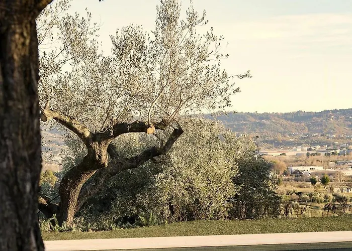 بيت للعطل With Olive Grove In Abruzzo *