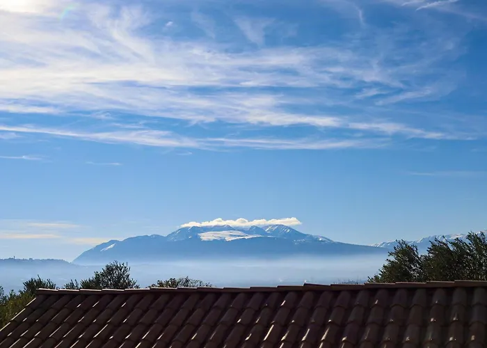 With Olive Grove In Abruzzo *