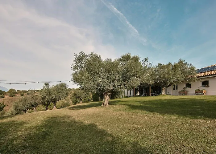 With Olive Grove In Abruzzo بيت للعطل *