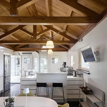 With Olive Grove In Abruzzo