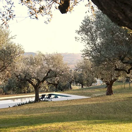 בית נופש With Olive Grove In Abruzzo