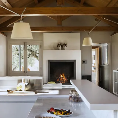 With Olive Grove In Abruzzo