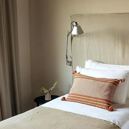 With Olive Grove In Abruzzo