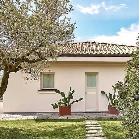 With Olive Grove In Abruzzo בית נופש *