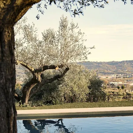 Hébergement de vacances With Olive Grove In Abruzzo *