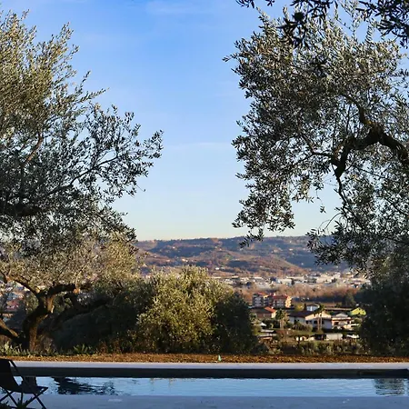 בית נופש With Olive Grove In Abruzzo Spoltore