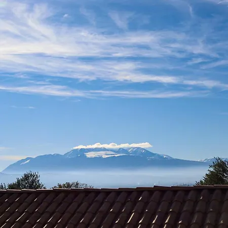 With Olive Grove In Abruzzo *