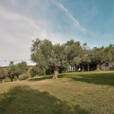 With Olive Grove In Abruzzo Дом отдыха *