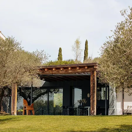 With Olive Grove In Abruzzo