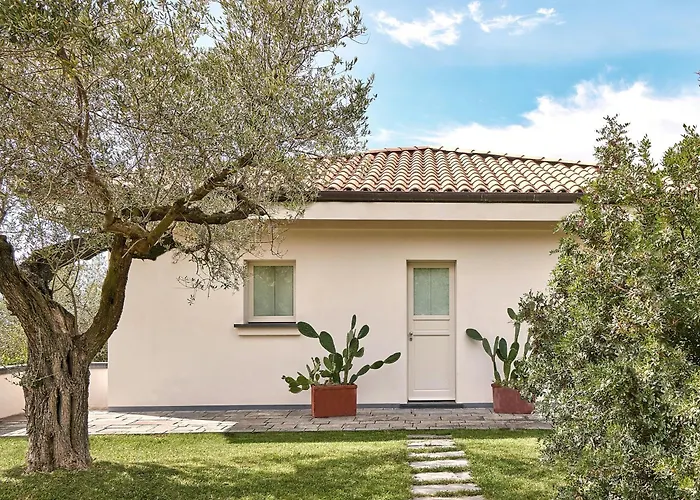 With Olive Grove In Abruzzo 度假居 *