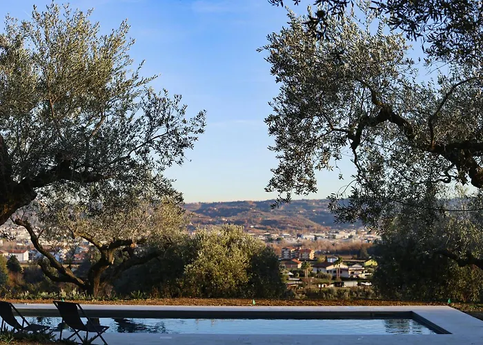 度假居 With Olive Grove In Abruzzo 斯波特勒